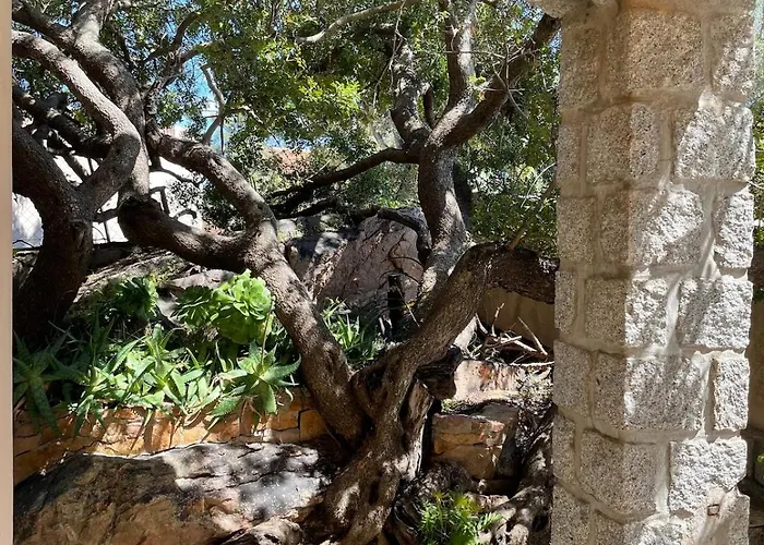 度假居 Maison Bon Aria Familiale Vue 5 Min Plages *